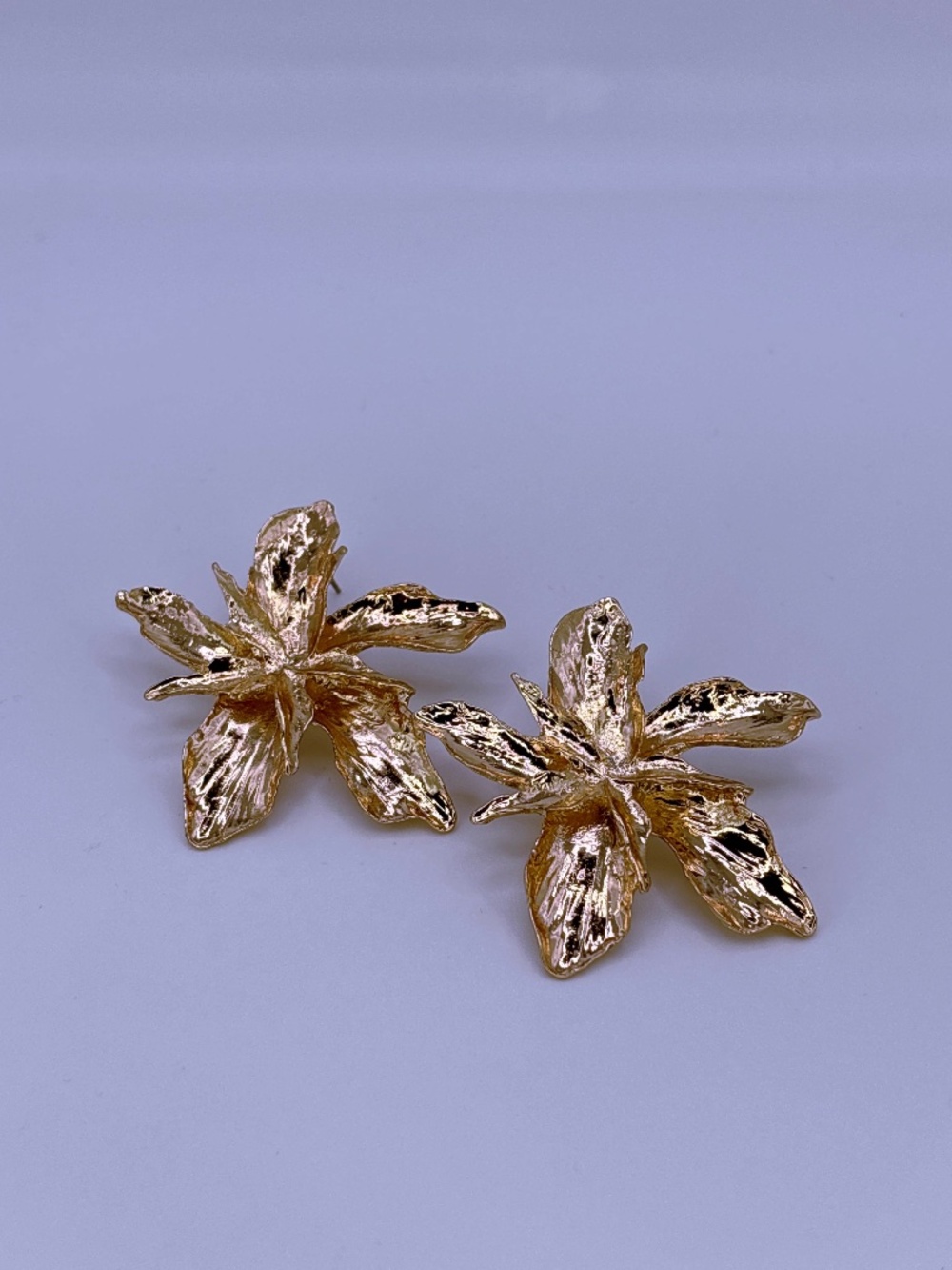 Fashion Earrings